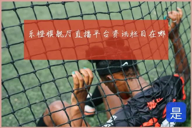 乐橙旗舰厅直播平台资讯栏目在哪